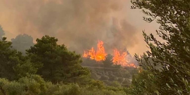 El pueblo de Maritsa en Rodas está siendo evacuado como medida de precaución - Continúa la batalla con los resurgimientos | tanea.gr