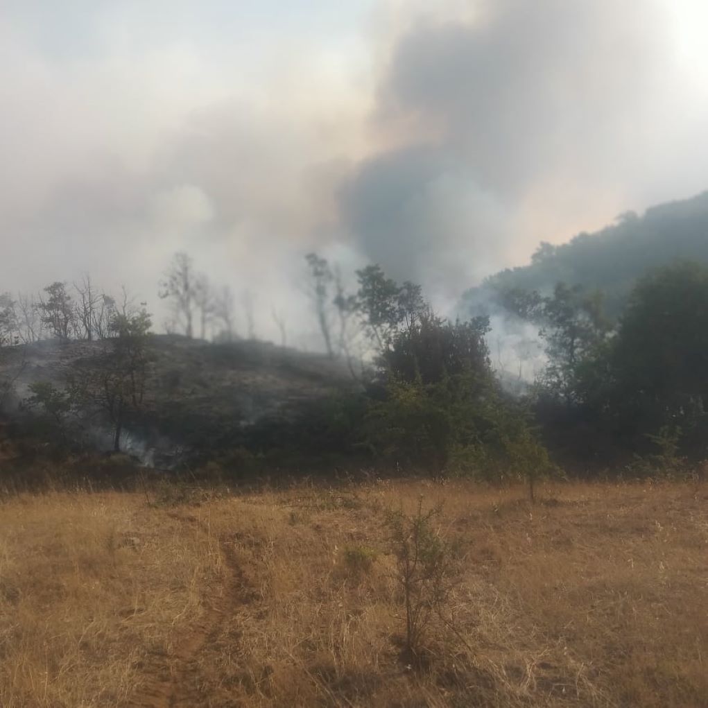 Ανατολική Μάνη – Σε εξέλιξη η φωτιά μεταξύ της Λάγιας και της Τσικαλιάς