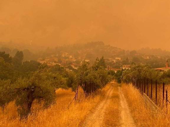 Μάχη με τις φλόγες δίνουν οι κάτοικοι στη Γερακιού