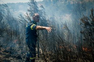 Κολοκούρης – Επιχείρησαν εναέρια μέσα σε όλα τα πύρινα μέτωπα