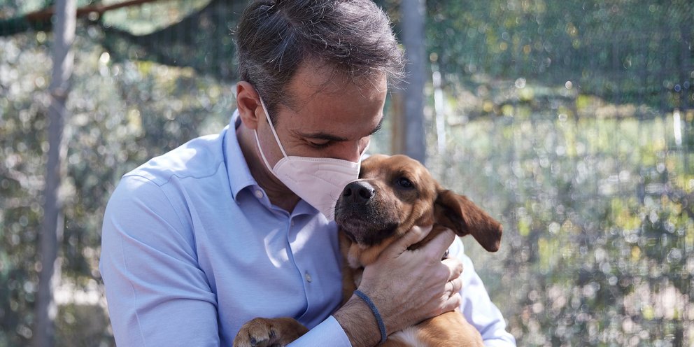 Η ανάρτηση Μητσοτάκη για τη φροντίδα των ζώων στον καύσωνα