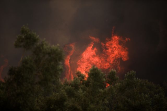 Εκκένωση οικισμών στην Καστάνια Λακωνίας – Φωτιά καίει δασική έκταση