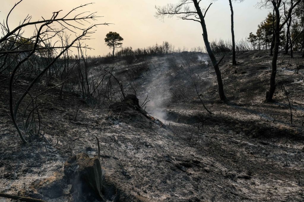 Φωτιές – Θλιβερό ρεκόρ καταστροφών σε όλη την Ελλάδα με 950.000 στρέμματα καμένα