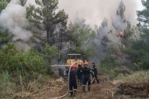 Φωτιές – Πώς και πότε θα αποζημιωθούν οι πυρόπληκτοι 