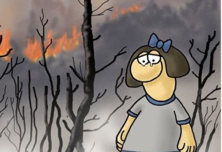 Συγκινητικό σκίτσο του Αρκά για τις καταστροφικές πυρκαγιές