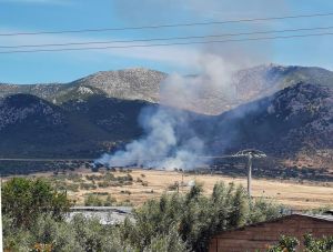 Υψηλός κίνδυνος πυρκαγιάς τη Δεύτερα σε πέντε περιοχές – Σε επιφυλακή όλες οι δυνάμεις της Πυροσβεστικής