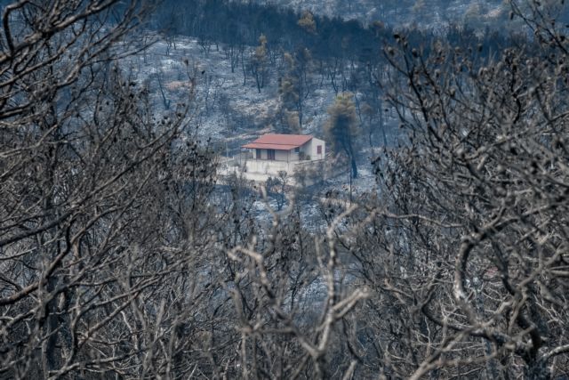 Χρυσοχοΐδης: Οριοθετήθηκε στο μεγαλύτερο μέρος της η φωτιά στα Βίλια