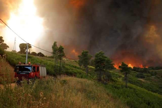 Φωτιά στην Καρδίτσα – Υπό έλεγχο το μέτωπο