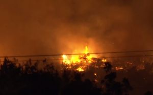 Φωτιά στα Καλύβια Αρκαδίας – Με εγκαύματα στο νοσοκομείο ο αντιδήμαρχος της περιοχής