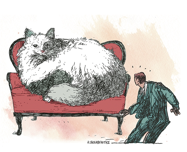 Η γάτα και το ξίδι