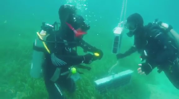 Χαλκιδική – Υποβρύχια κάβα με… διεθνή απήχηση