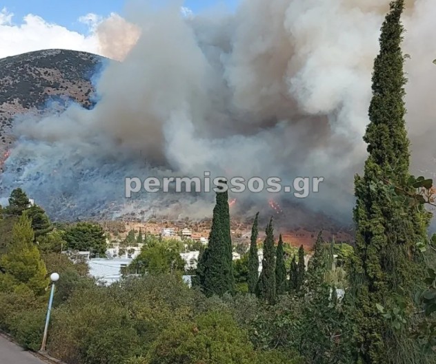 Φωτιά στην παραλία Διστόμου