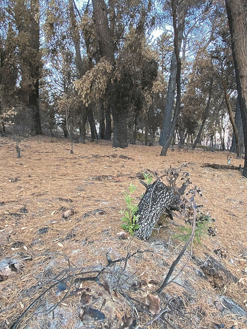 Ο απολογισμός, τα σχέδια και το στοίχημα
