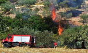 Κρήτη – Φωτιά στον Σταλό Χανίων