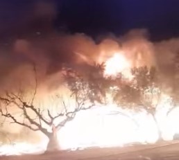 Μανωλάδα – Παρανάλωμα οι παράγκες των εργατών γης στα φραουλοχώραφα