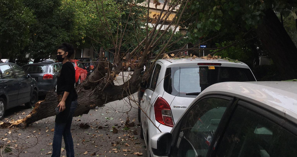 Δέντρο καταπλάκωσε αυτοκίνητο  στο Παγκράτι