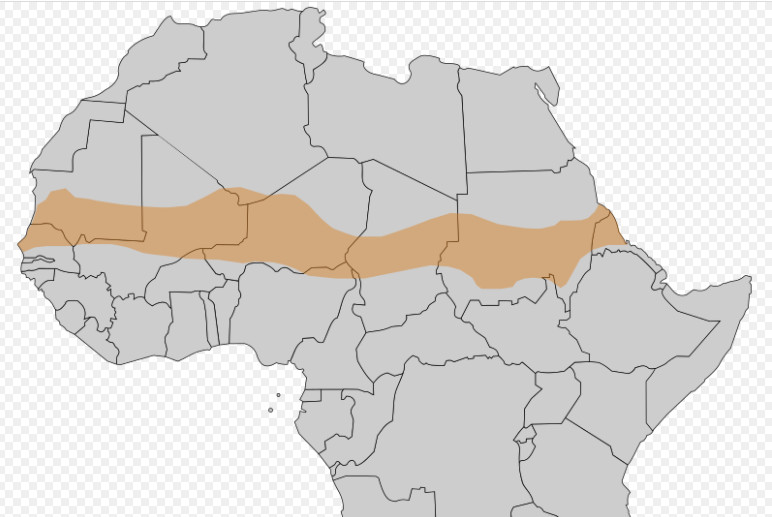 Τι είναι το Σαχέλ για το οποίο «τσακώθηκαν» Τσίπρας και Μητσοτάκης