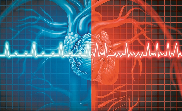 ΚΑΡΔΙΟ…ΓΡΑΦΗΜΑΤΑ