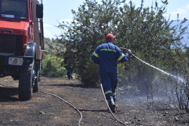 Φωτιά καίει αγροτοδασική έκταση στη Λιαντίνα Λακωνίας