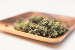 Η μικρή επανάσταση της κάνναβης