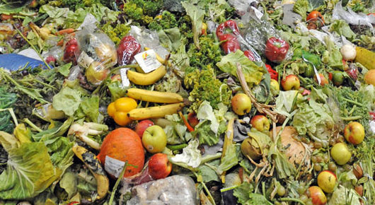 Editorial: Food waste