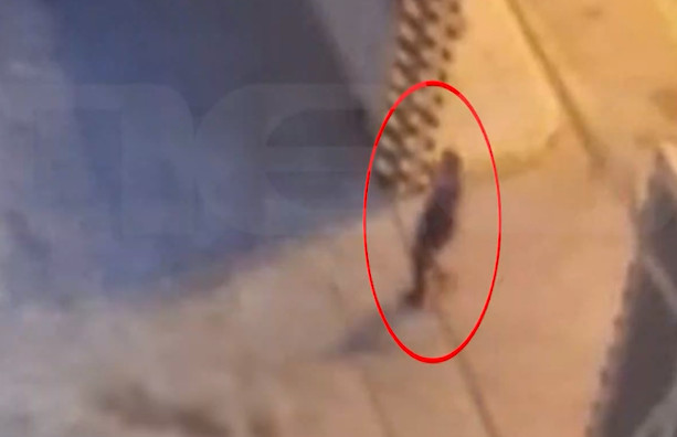 Οργή και ερωτήματα για τον θάνατο της 8χρονης μετά τη δημοσιοποίηση του φρικτού βίντεο