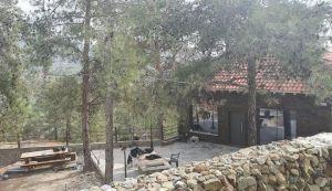 Κύπρος – Θρίλερ με αγνοούμενες Ρωσίδες – Το σενάριο για διπλό φονικό