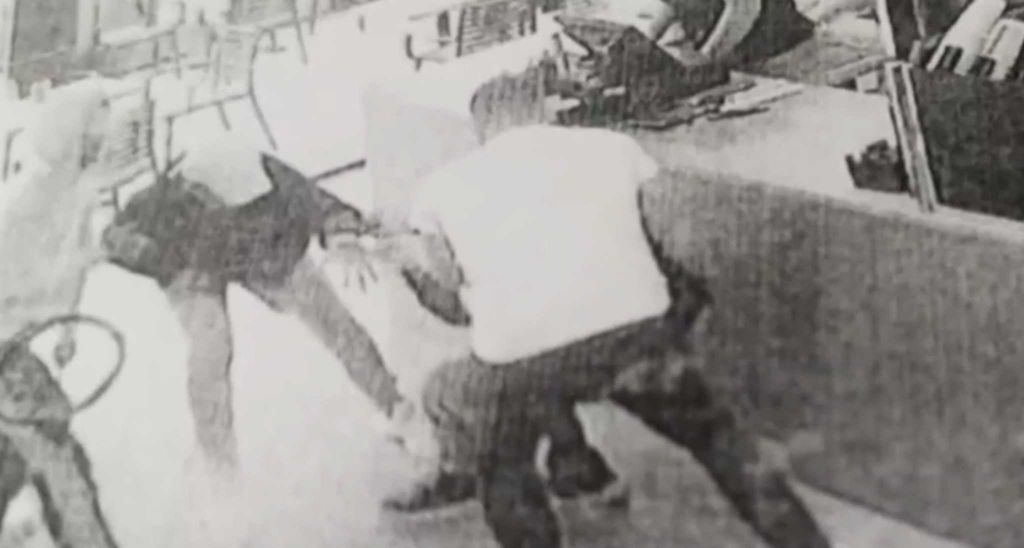 Φωτογραφίες-ντοκουμέντο από την επίθεση του τράπερ με μαχαίρι