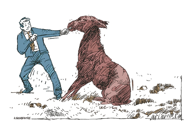 Περιπέτειες της πειθούς