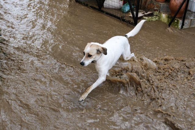 Έρχονται νέες βροχές και καταιγίδες  – Οι πρώτες πλημμύρες σε Αθήνα και Ηλεία