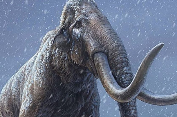 Βρετανία – Εντοπίστηκαν «σχεδόν άθικτα» μαμούθ ηλικίας 220.000 ετών