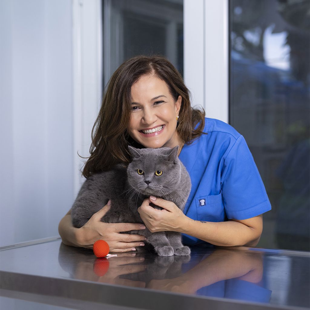 Ιδανικό βάρος για το κατοικίδιό σας