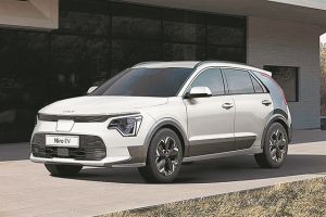 Με… φύλλα ευκαλύπτου