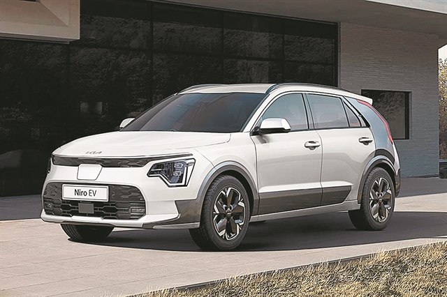 Με… φύλλα ευκαλύπτου