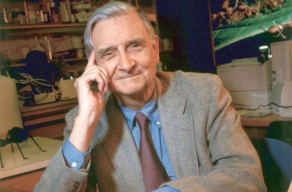 Εντουαρντ Ουίλσον – Πέθανε ο επιφανής βιολόγος και φυσιοδίφης, πατέρας της κοινωνιοβιολογίας