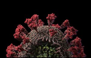 Αρης Κατζουράκης – Ο κορυφαίος έλληνας βιολόγος προβλέπει νέα πανδημικά κύματα