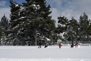 Καιρός: Ισχυρός παγετός στα κεντρικά και βόρεια – Στους μείον 15 βαθμούς Κελσίου η θερμοκρασία στη Βοιωτία