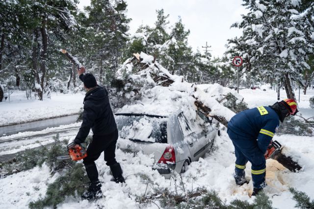 Δήμος Αθηναίων: Αποζημιώνει τους ιδιοκτήτες οχημάτων που υπέστησαν ζημιές από πτώσεις δέντρων | tanea.gr