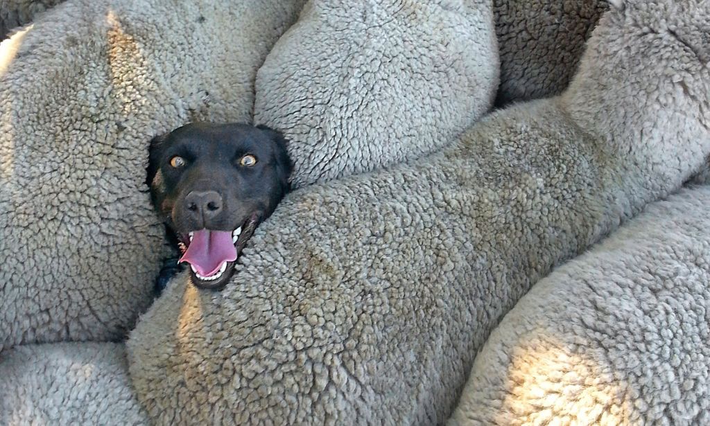 «Φωνές και ιδέες της γενιάς μας»