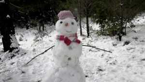 Καιρός – Έρχεται τσουχτερό κρύο την Πέμπτη, πού θα χιονίσει