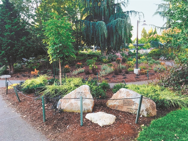 Μια έκθεση και μία μικρή καστανιά