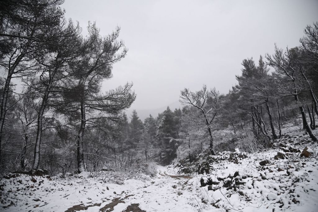 Κακοκαιρία «Ελπίδα»: Σύσκεψη στο υπουργείο Προστασίας του Πολίτη