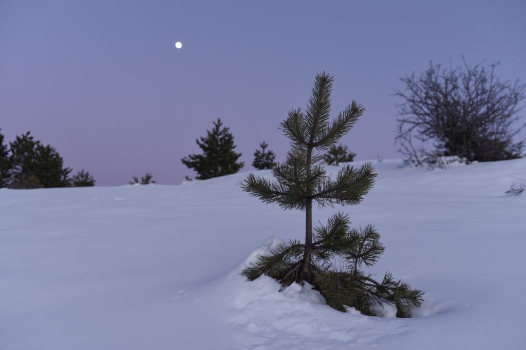 Κακοκαιρία «Ελπίδα»: Αντίστροφη μέτρηση για την νέα ψυχρή εισβολή – Χιόνια από τη Φλώρινα μέχρι τη Νάξο – Τι λένε οι μετεωρολόγοι