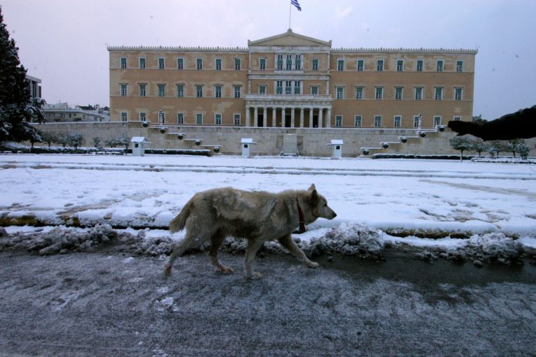 Χιόνια στο κέντρο της Αθήνας και… θερμοκρασίες έως -20 βαθμούς Κελσίου | tanea.gr