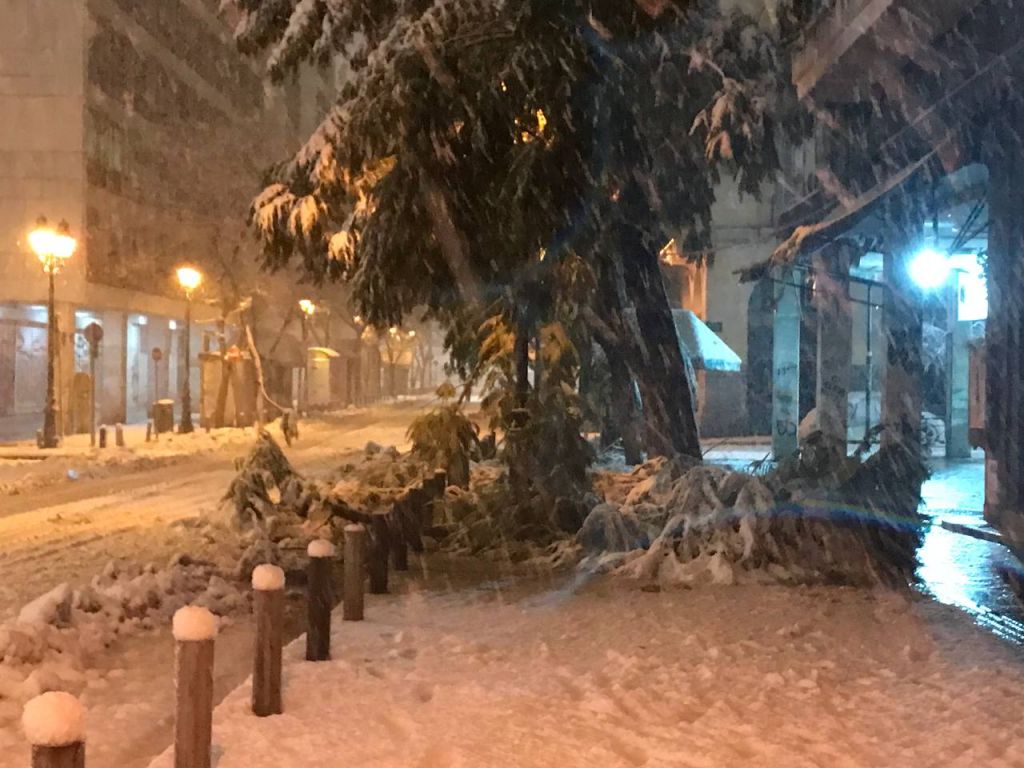 Κακοκαιρία «Ελπίδα»: Έπεσαν δέντρα στο κέντρο της Αθήνας