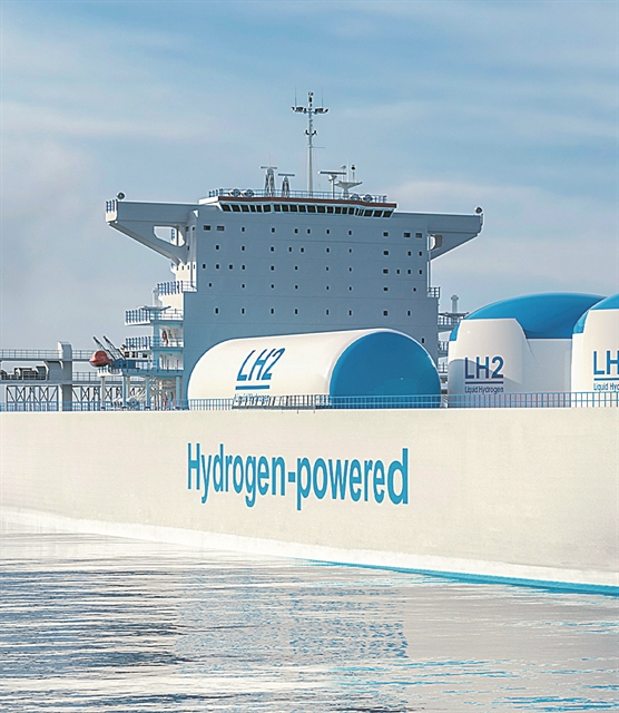 H Euronav προστατεύει τις φάλαινες