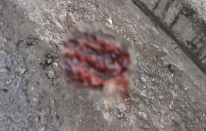 Δολοφονία 19χρονου: Ποιος ήταν ο Αλκης που έχασε τη ζωή του από χτυπήματα οπαδών