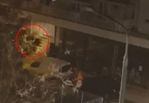 Απόστολος Λύτρας: Ο 21χρονος κατονόμασε τον δολοφόνο – Αποκάλυψε πού κρύβεται το μαχαίρι του φόνου