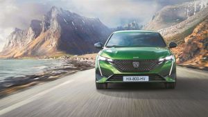 Μικρομεσαίο με πολυτέλεια