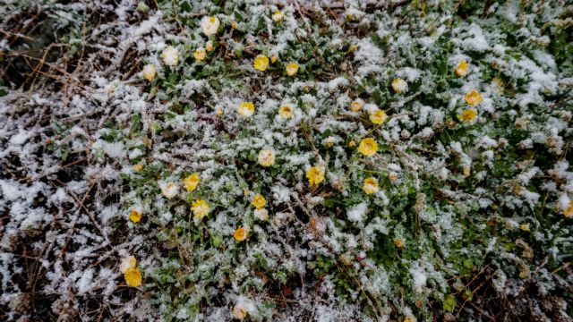 Καιρός: Χιόνια πάλι στην Αττική – Αεροχείμαρρος βάζει τη χώρα στην κατάψυξη